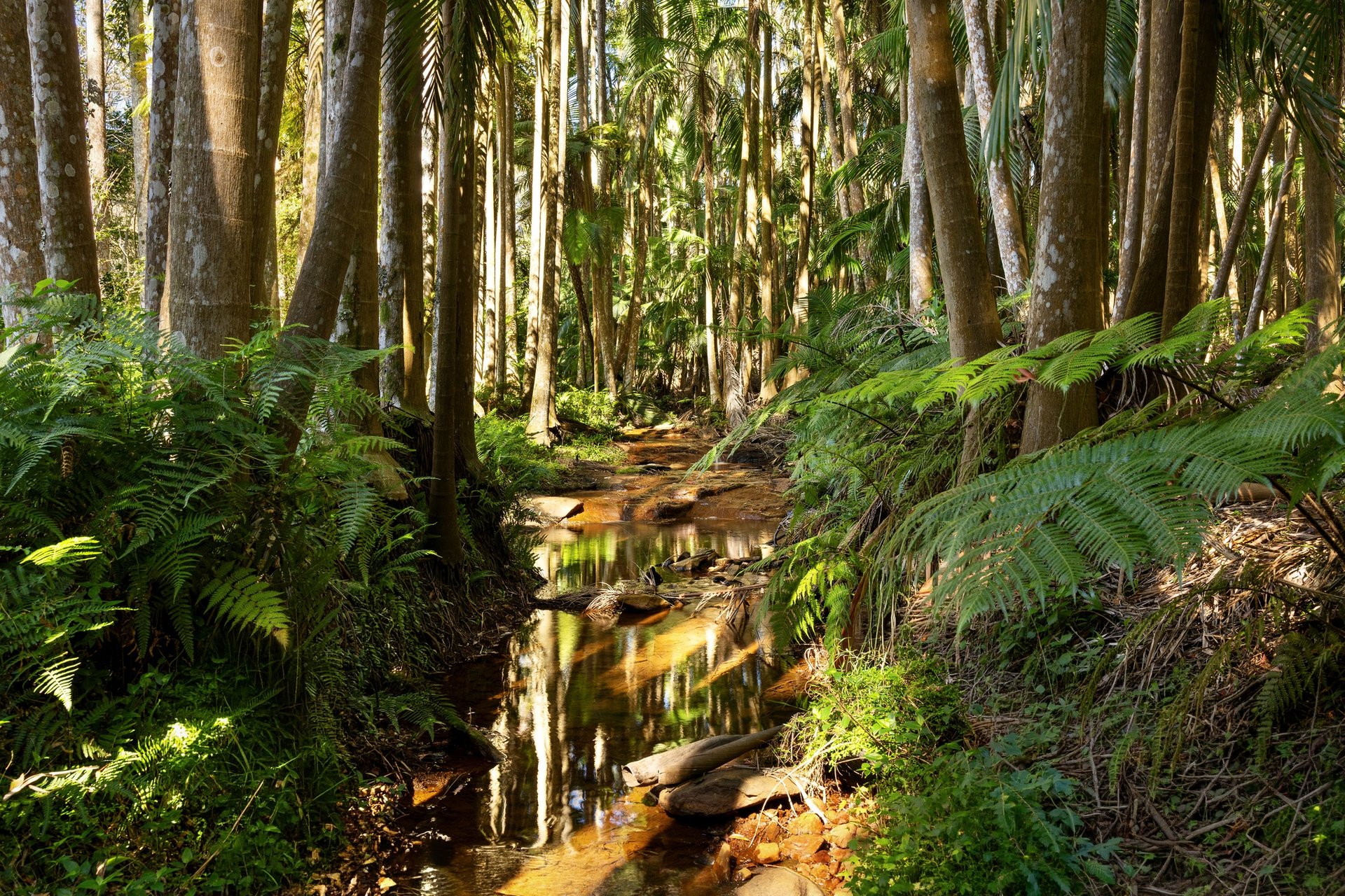 37 Yuulong Road Tamborine Mountain