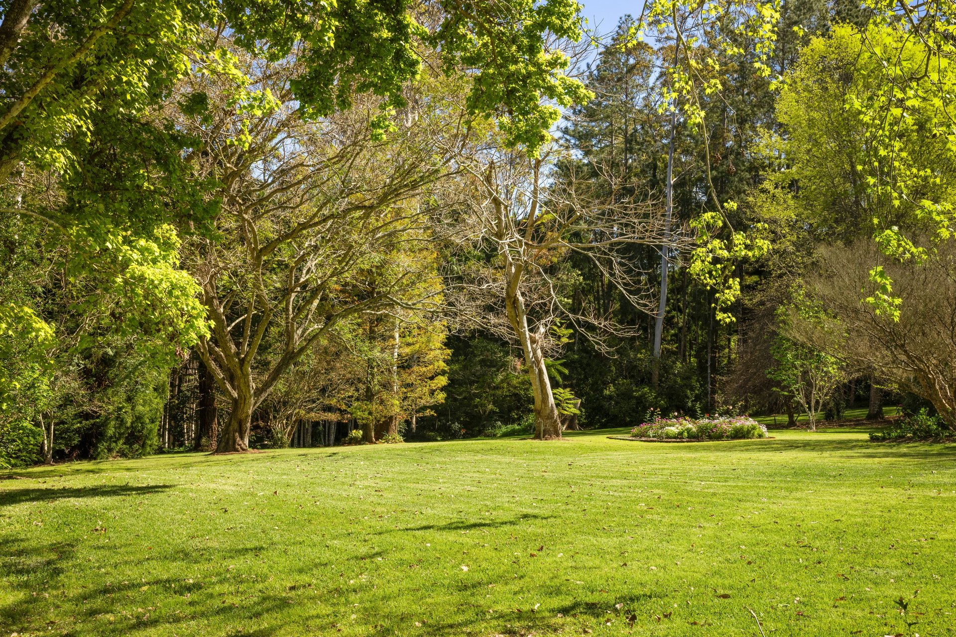 37 Yuulong Road Tamborine Mountain