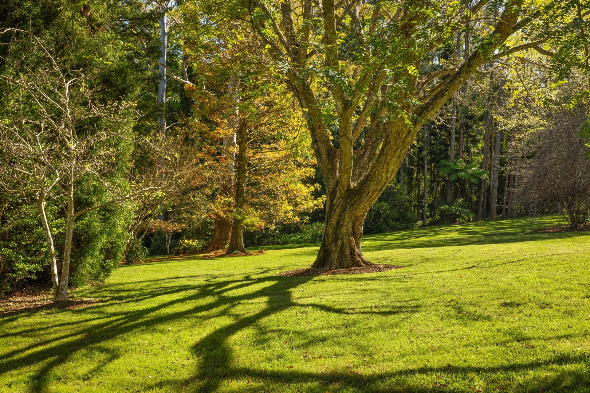 37 Yuulong Road Tamborine Mountain