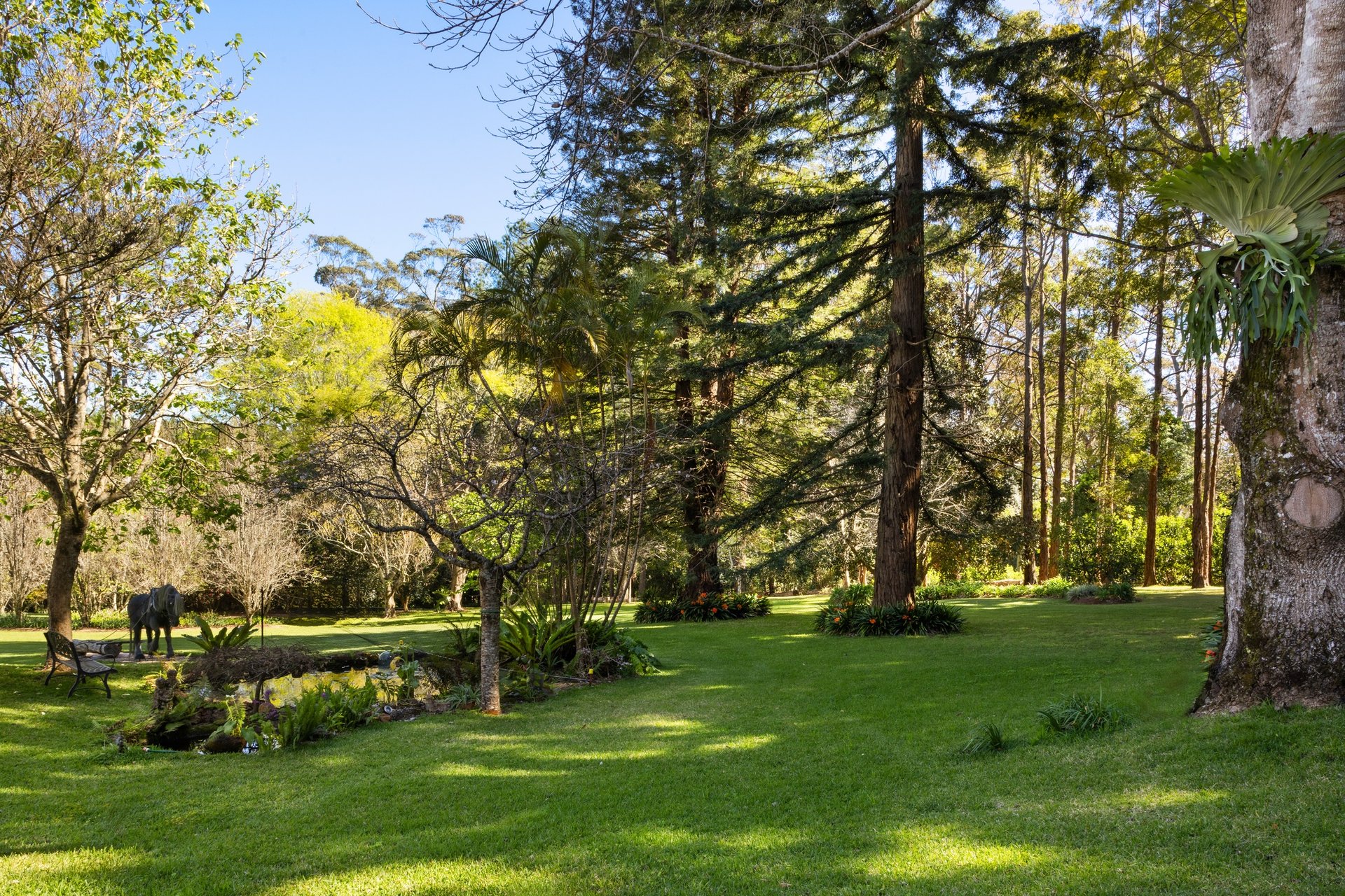 37 Yuulong Road Tamborine Mountain