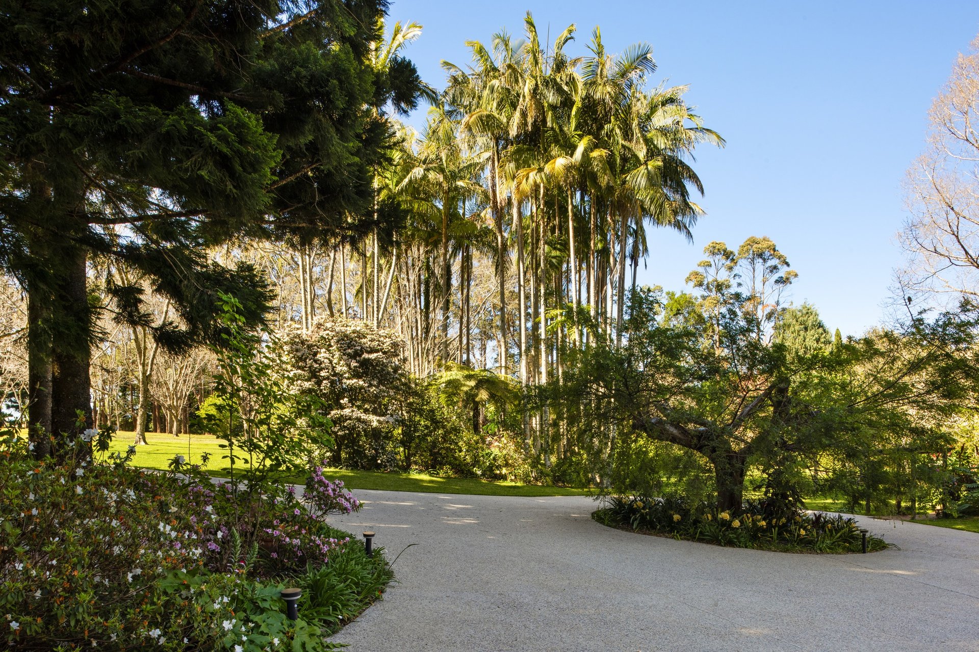 37 Yuulong Road Tamborine Mountain