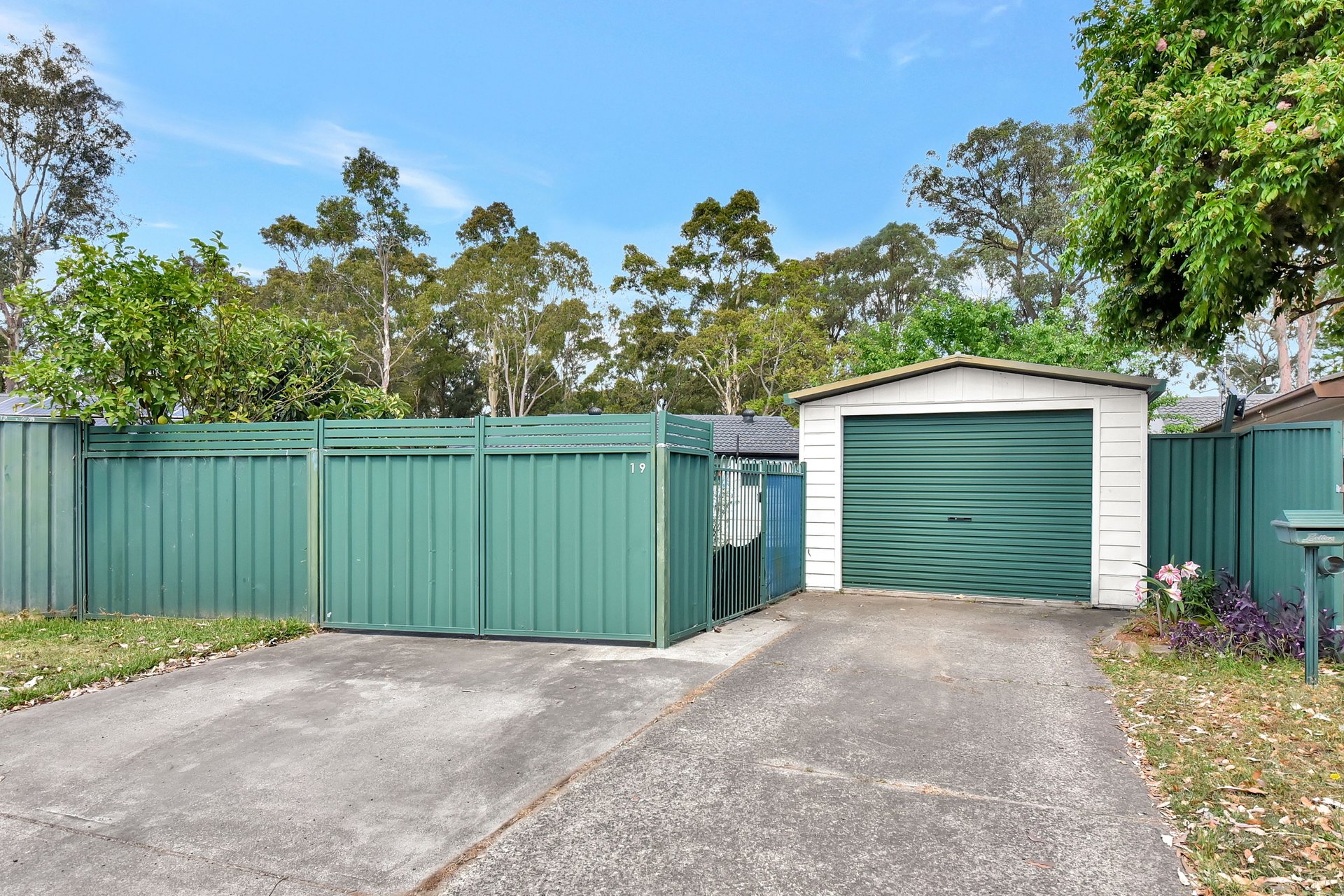 19 Griffin Close, Thornton For Lease by The Agency Hunter Valley - image 9