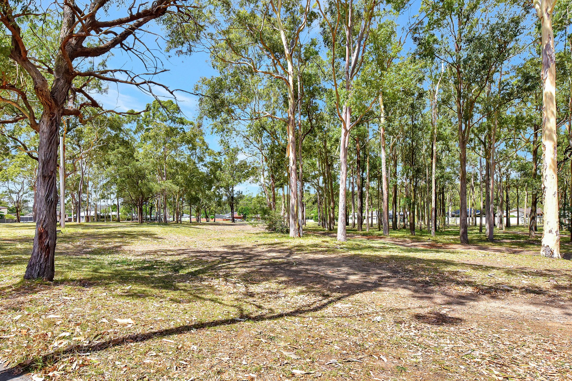 19 Griffin Close, Thornton For Lease by The Agency Hunter Valley - image 10