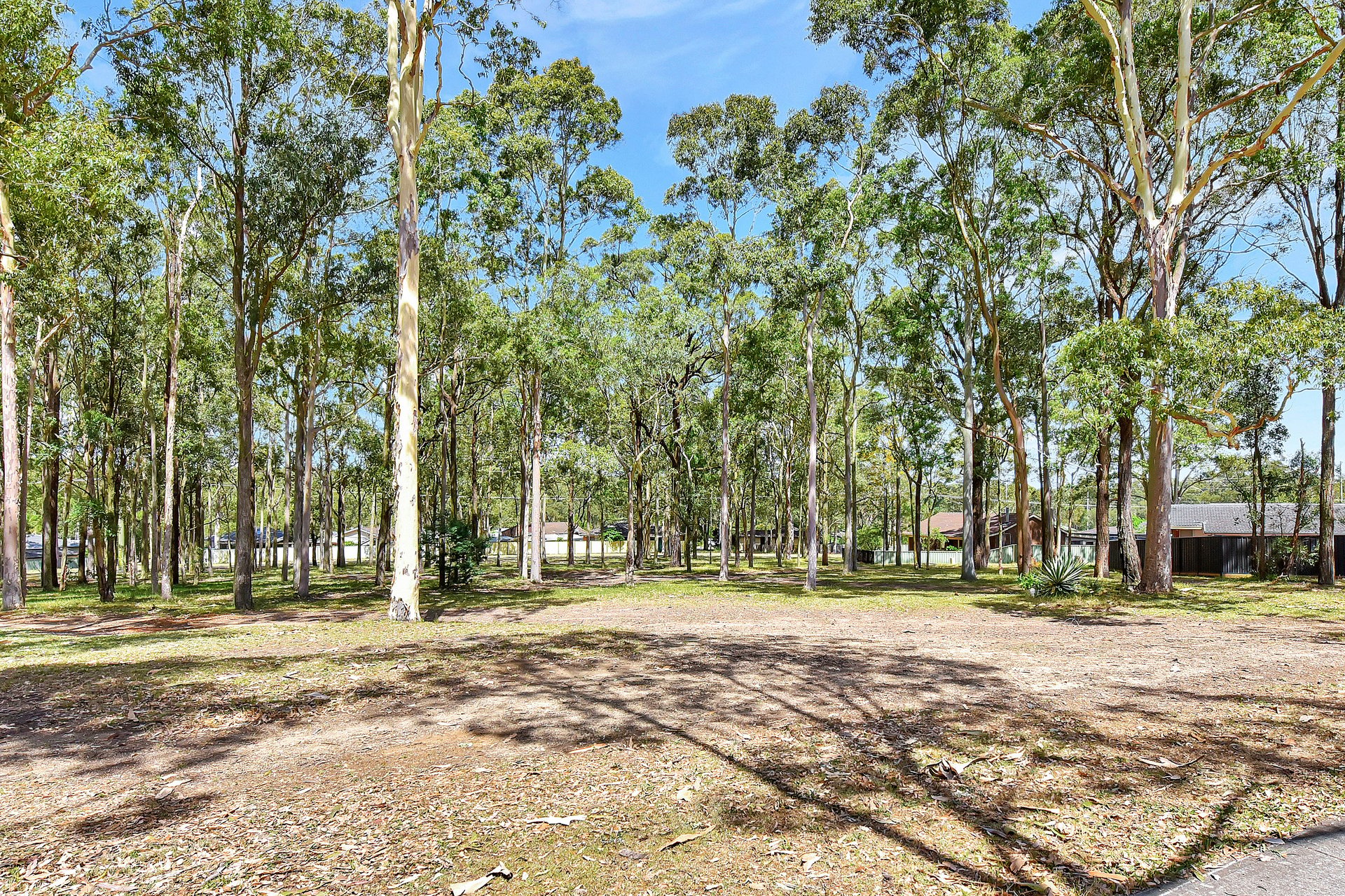19 Griffin Close, Thornton For Lease by The Agency Hunter Valley - image 11