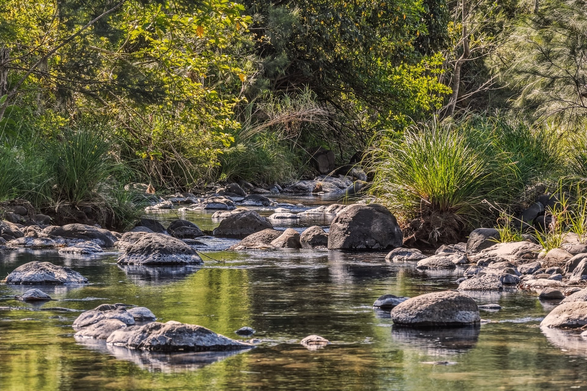 Lot 7 Illinbah Road, Illinbah QLD 4275